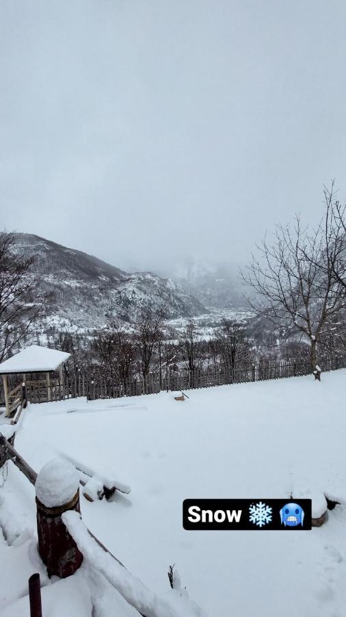 Hotel Driti Gh Nderlysa Shkodër Esterno foto